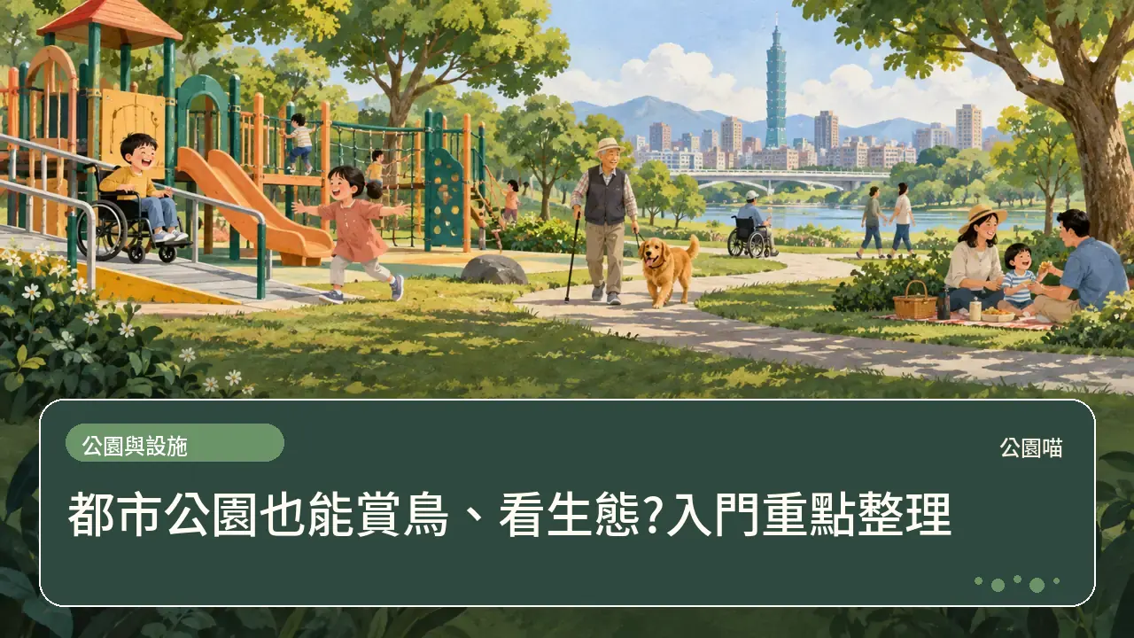 都市公園也能賞鳥、看生態?入門重點整理主題插畫