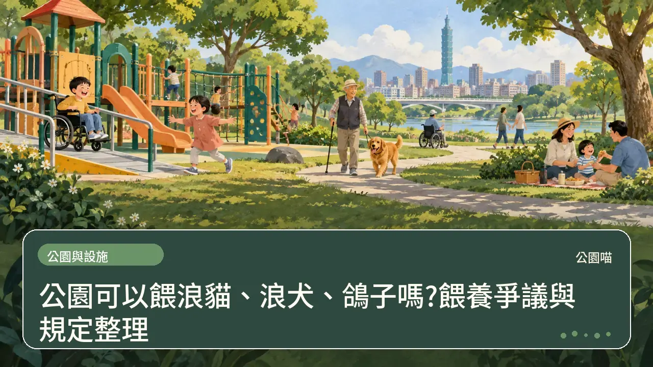 公園可以餵浪貓、浪犬、鴿子嗎?餵養爭議與規定整理主題插畫